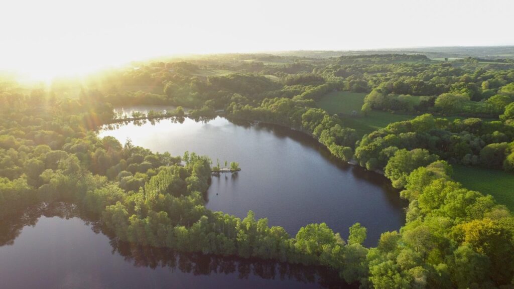 Main Lake - by Brittany Forest Lakes