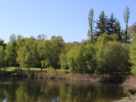 Lac Noir section carp fishing - by Brittany Forest Lakes