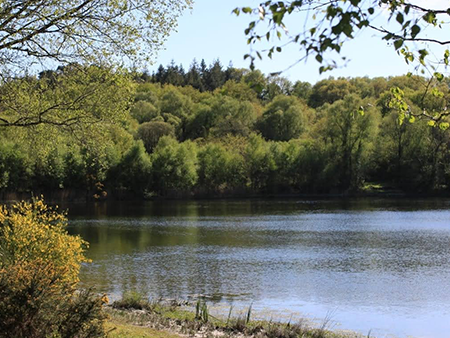 Lac Noir section 2 carp fishing lake - by Brittany Forest Lakes