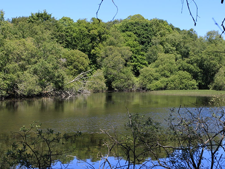 Westwood carp fishing lake - by Brittany Forest Lakes