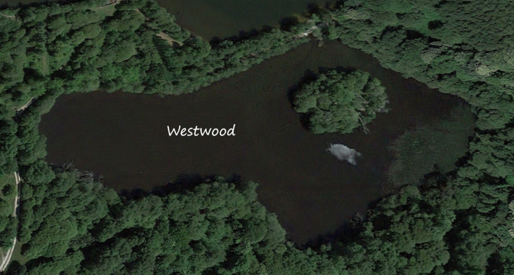 Westwood carp fishing lake, birds eye - by Brittany Forest Lakes